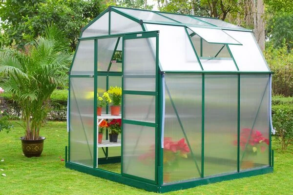 Grüne Freude -Grüne Freude 1 13751.jpg