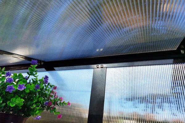 Grüne Freude -Grüne Freude 22271 14.jpg