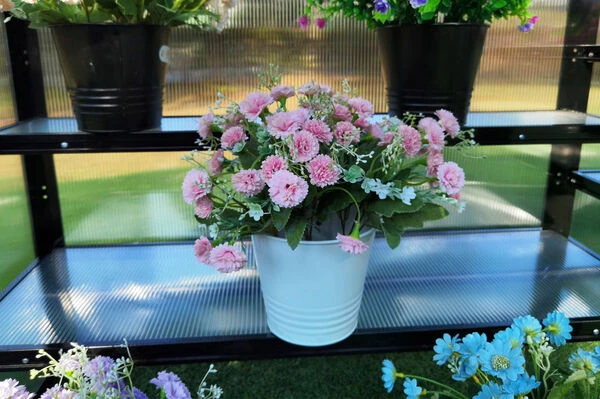 Grüne Freude -Grüne Freude 22271 9.jpg