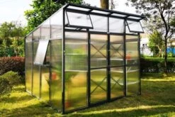 Ausgewählte Produkte -Grüne Freude 2 18177.jpg